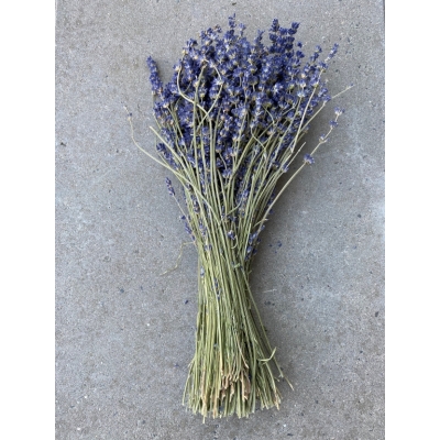 Gedroogde Lavendel Gedroogde Lavendel